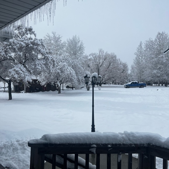 Meet your Posher, Christa - Picture 4 of 6